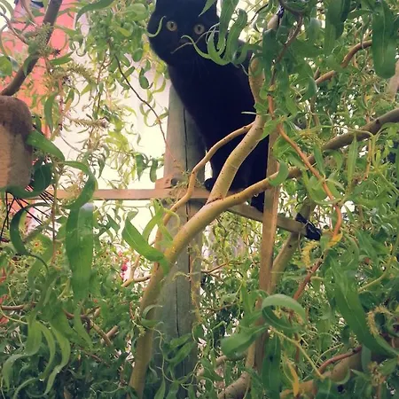 Poggio Caiar לינה וארוחת בוקר קאפרינו ורונזה