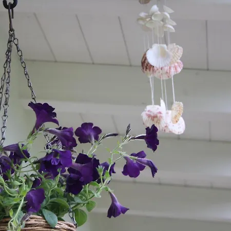 Poggio Caiar فندق مبيت وإفطار كابرينو فيرونيسي