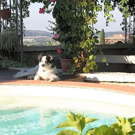 Poggio Caiar فندق مبيت وإفطار 4*