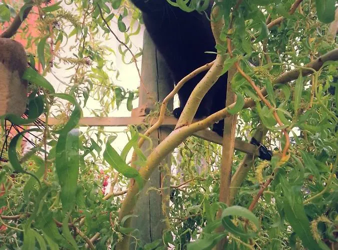 Poggio Caiar Bed & Breakfast Caprino Veronese